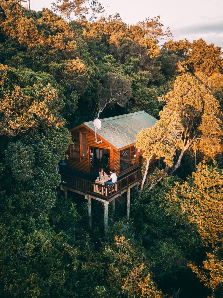 pexels-photo-3889919-3889919 Aerial shot of a secluded treehouse nestled amidst lush woods in South Africa.